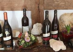 Mehrere Weinflaschen auf einer Holzbank mit Steinen