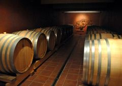Keller mit Holzfässern zur Lagerung von Wein