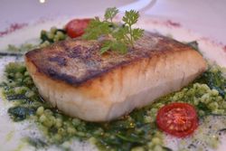 Zanderfilet mit Beilagen