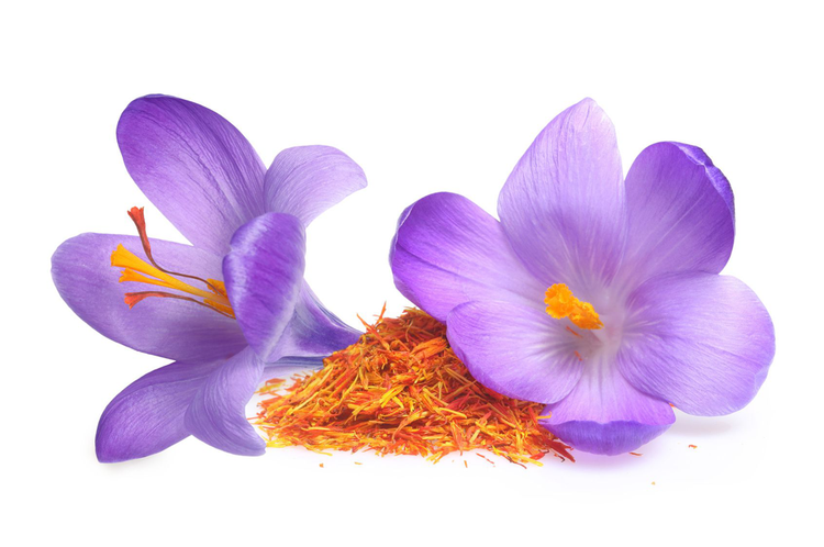 Safranblüten und Safranpulver
