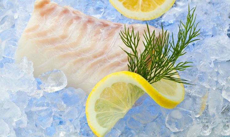 Fischfilet auf Eis mit zwei Zitronenscheiben und Kraut