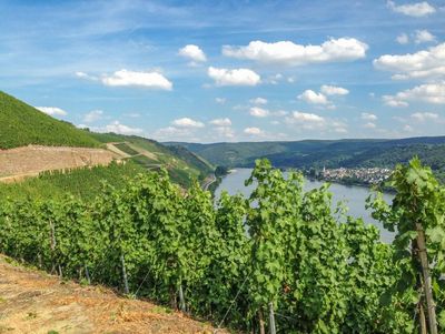 Rhein