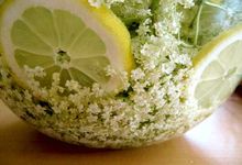Glasschüssel mit Zitronen und Holunderblüten