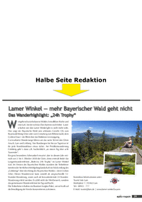 Halbe Seite Advertorial