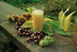Neuer Wein mit Esskastanien, Traube und Laub
