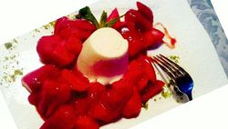 Panna Cotta mit Erdbeeren
