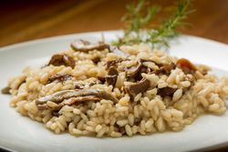 Steinpilzrisotto