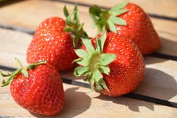 Vier Erdbeeren auf Holzbrettern