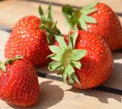 Vier Erdbeeren auf Holzbrettern